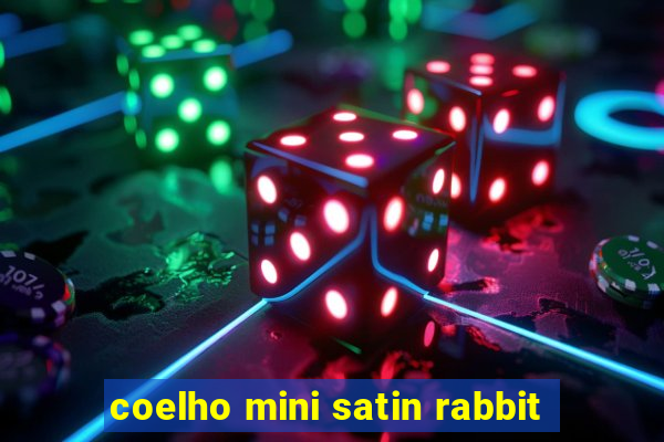 coelho mini satin rabbit